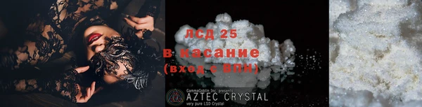 крисы Алексин