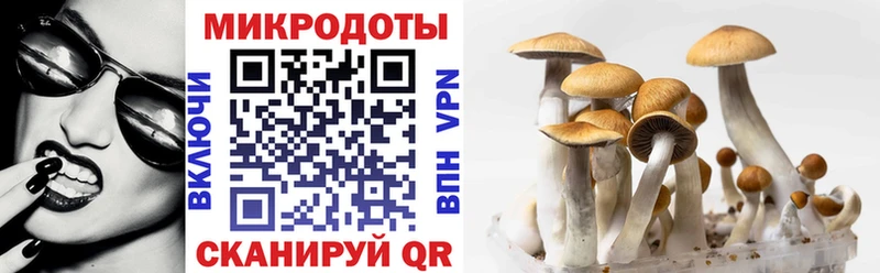 цены наркотик  Николаевск-на-Амуре  Псилоцибиновые грибы Psilocybine cubensis 